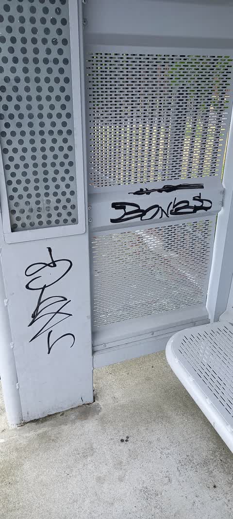 Graffiti, a report photo