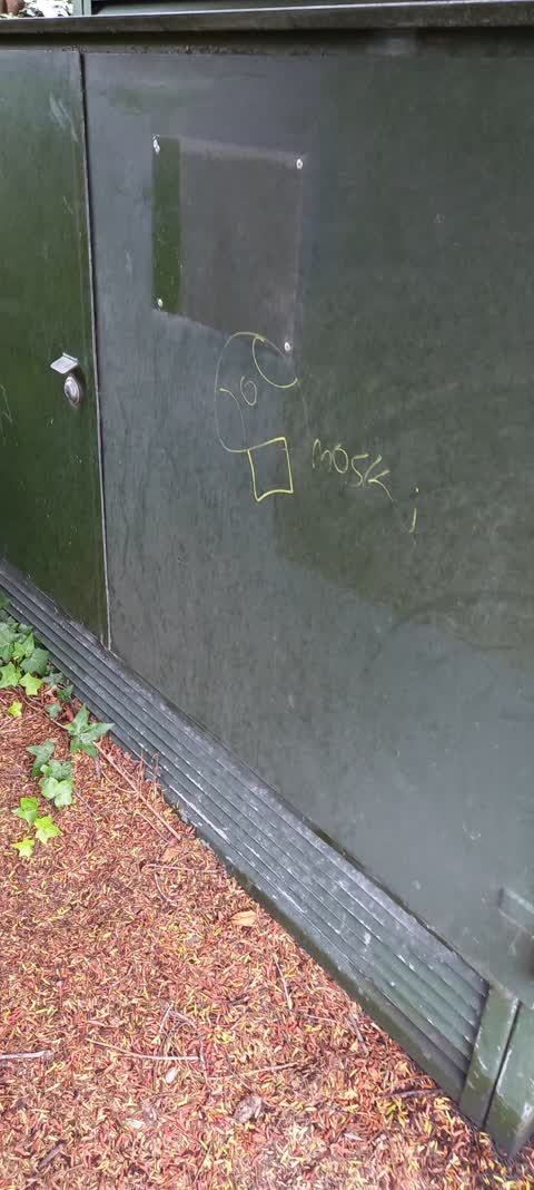 Graffiti, a report photo
