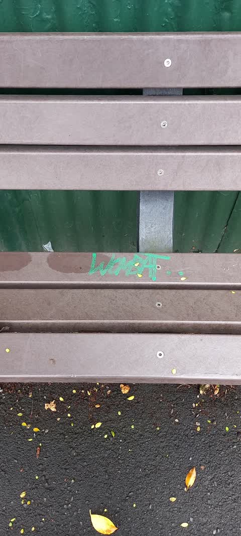 Graffiti, a report photo
