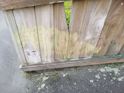Graffiti, a report photo