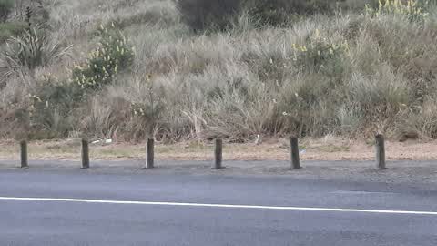 Parks, a report photo