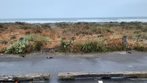 Parks — a report photo