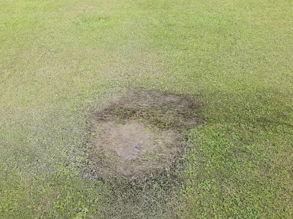The photograph attached to this parks report