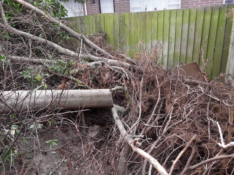 The photograph attached to this parks report