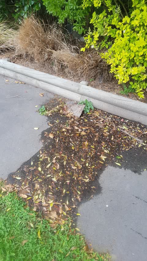 Water Leak, a report photo