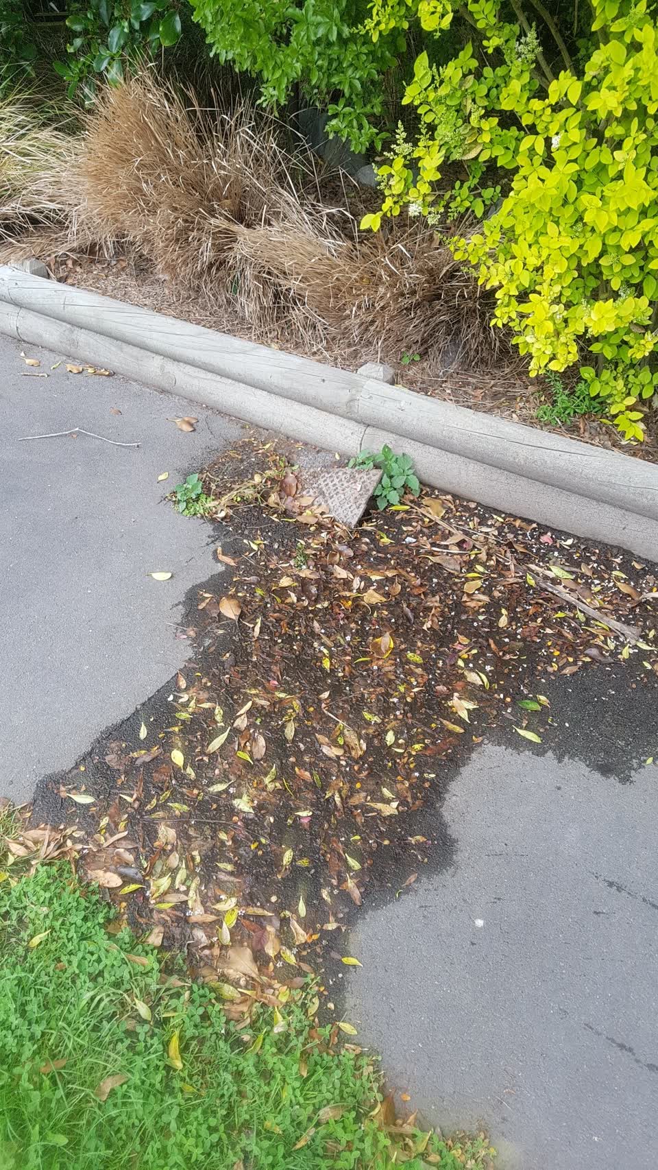 The photograph attached to this water leak report