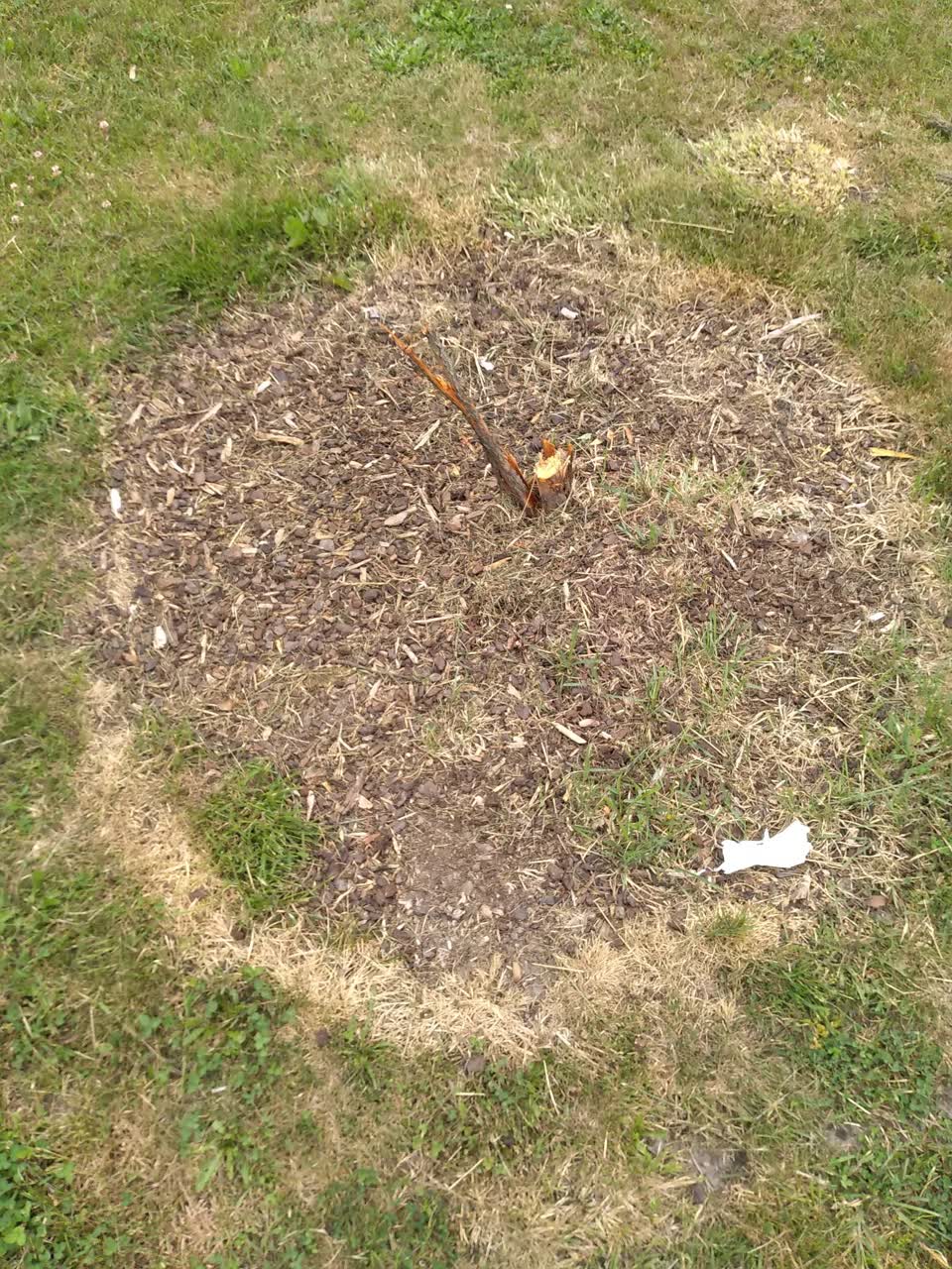 The photograph attached to this parks report