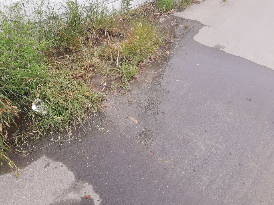 The photograph attached to this water leak report