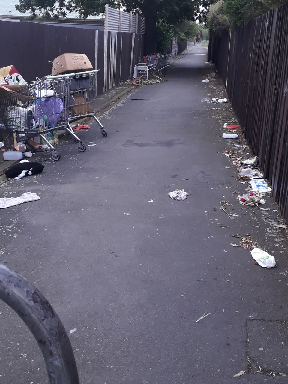 The photograph attached to this rubbish/recycling report