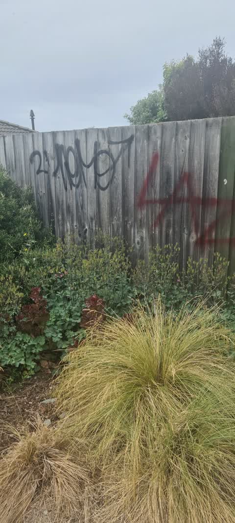 Graffiti, a report photo