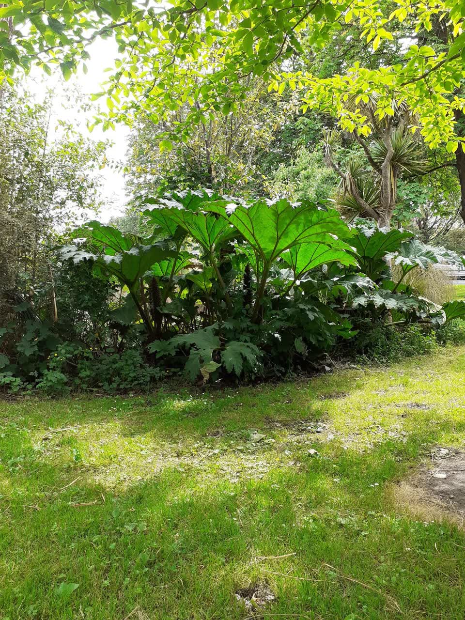 The photograph attached to this parks report