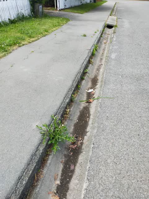 Roading/Streets, a report photo