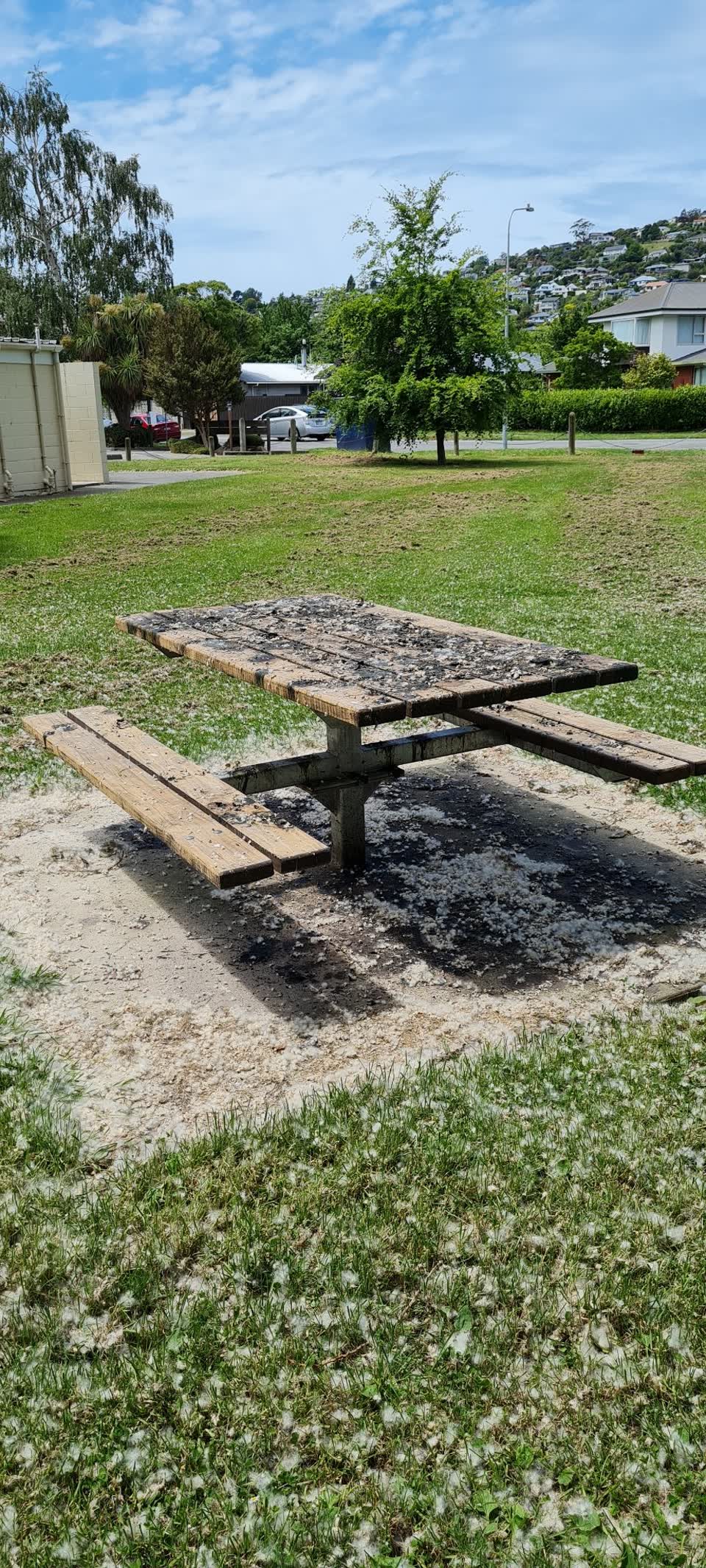 The photograph attached to this parks report