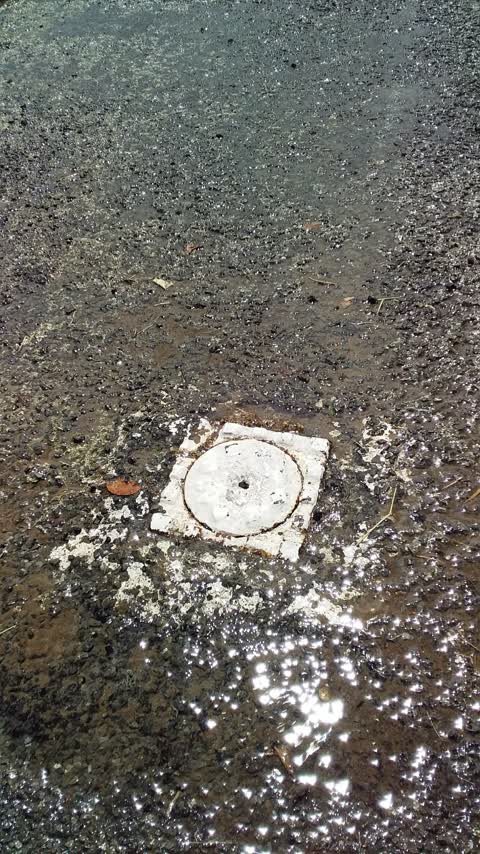 Water Leak, a report photo