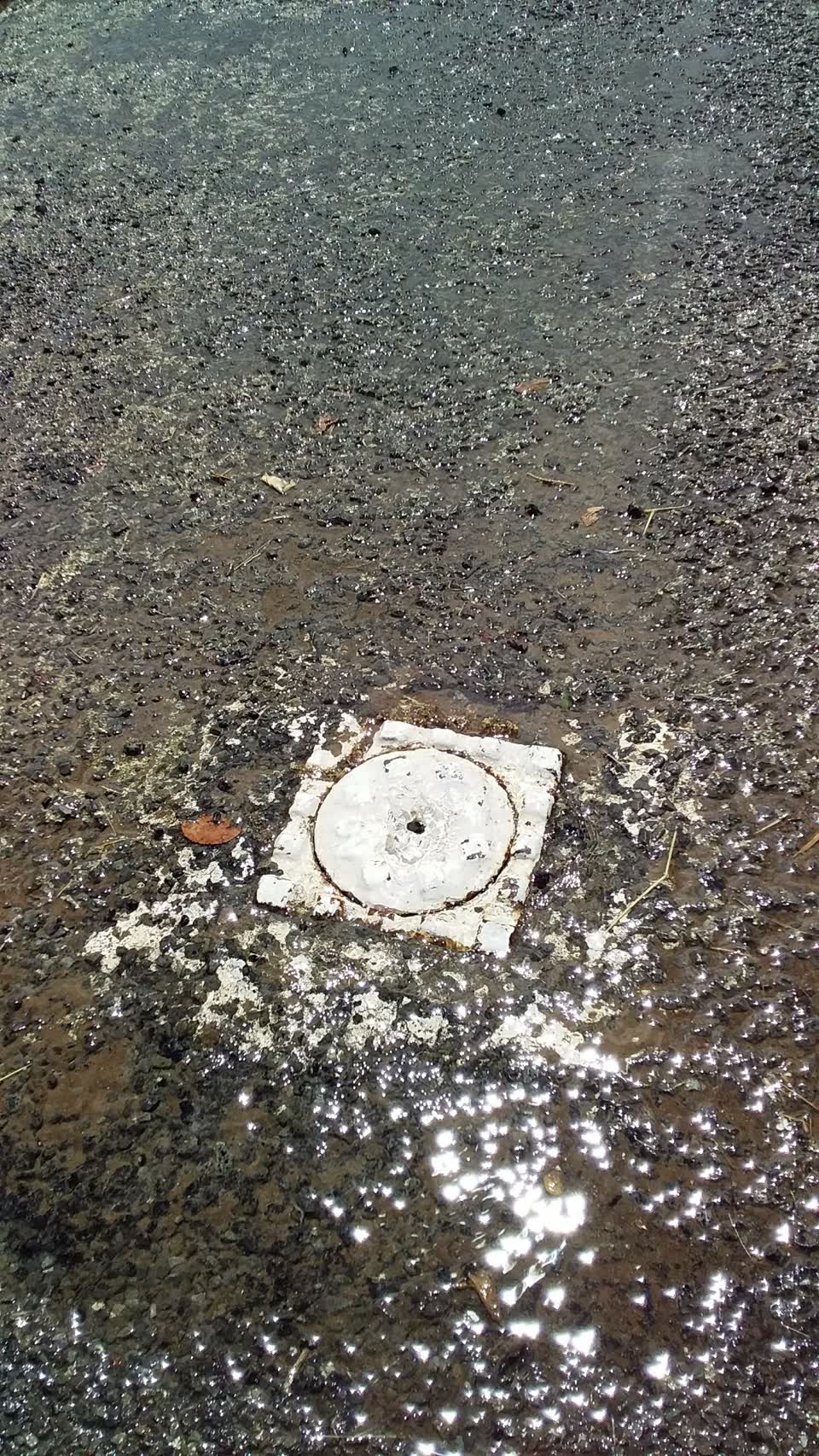 The photograph attached to this water leak report