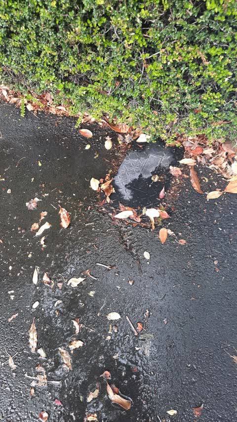 Water Leak, a report photo