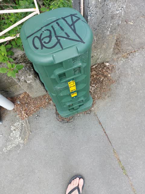 Graffiti, a report photo