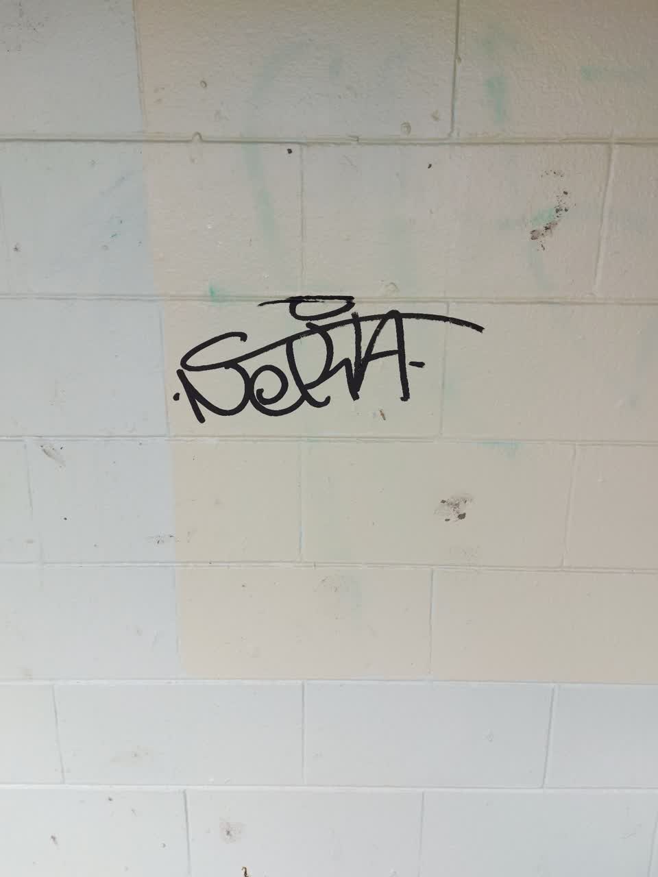 The photograph attached to this graffiti report
