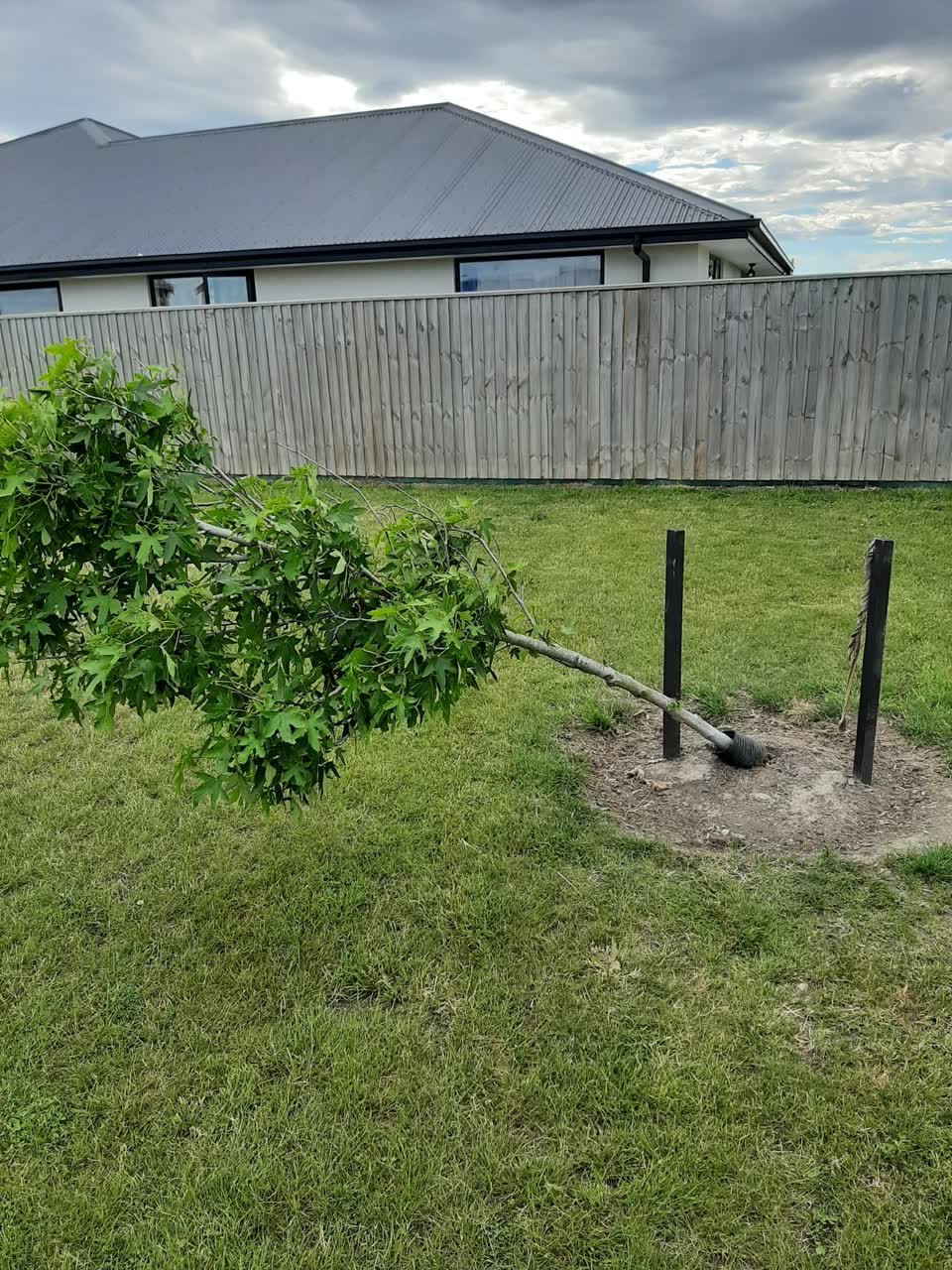 The photograph attached to this parks report
