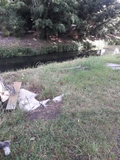 Roading/Streets, a report photo