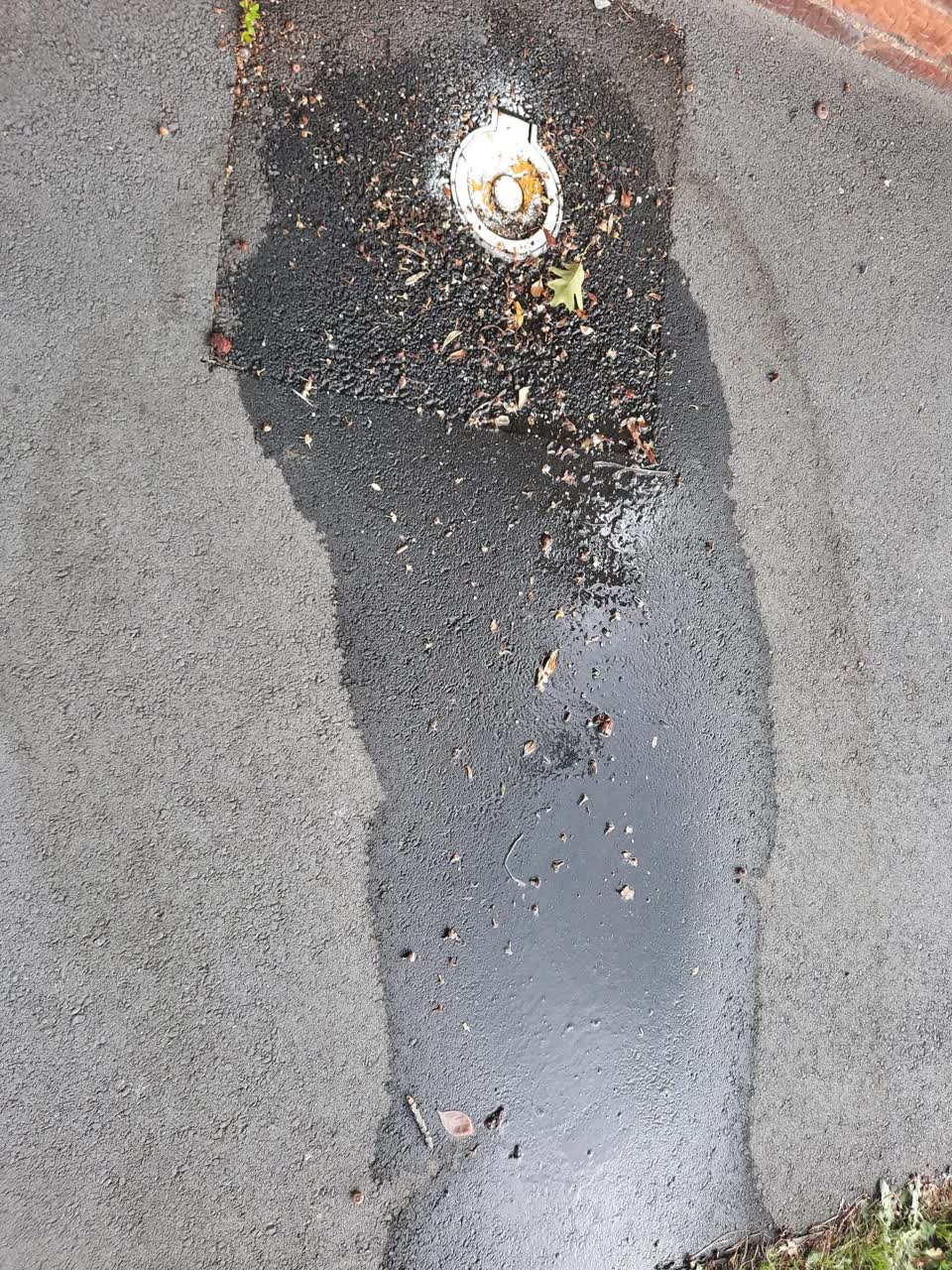 The photograph attached to this water leak report