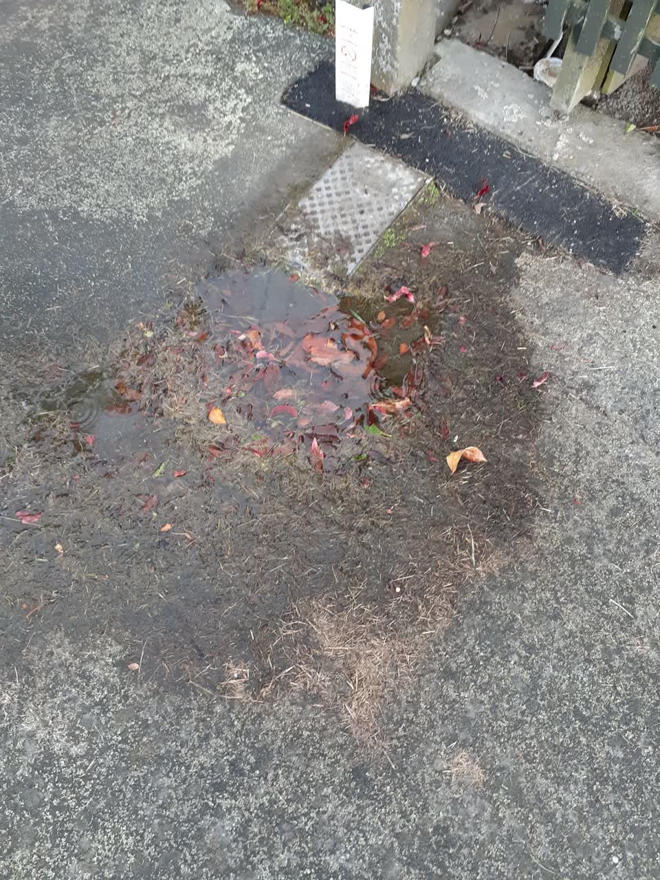 The photograph attached to this water supply report