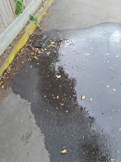 Water Leak, a report photo