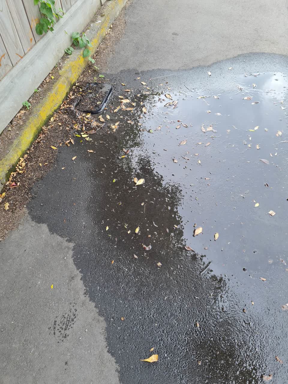 The photograph attached to this water leak report