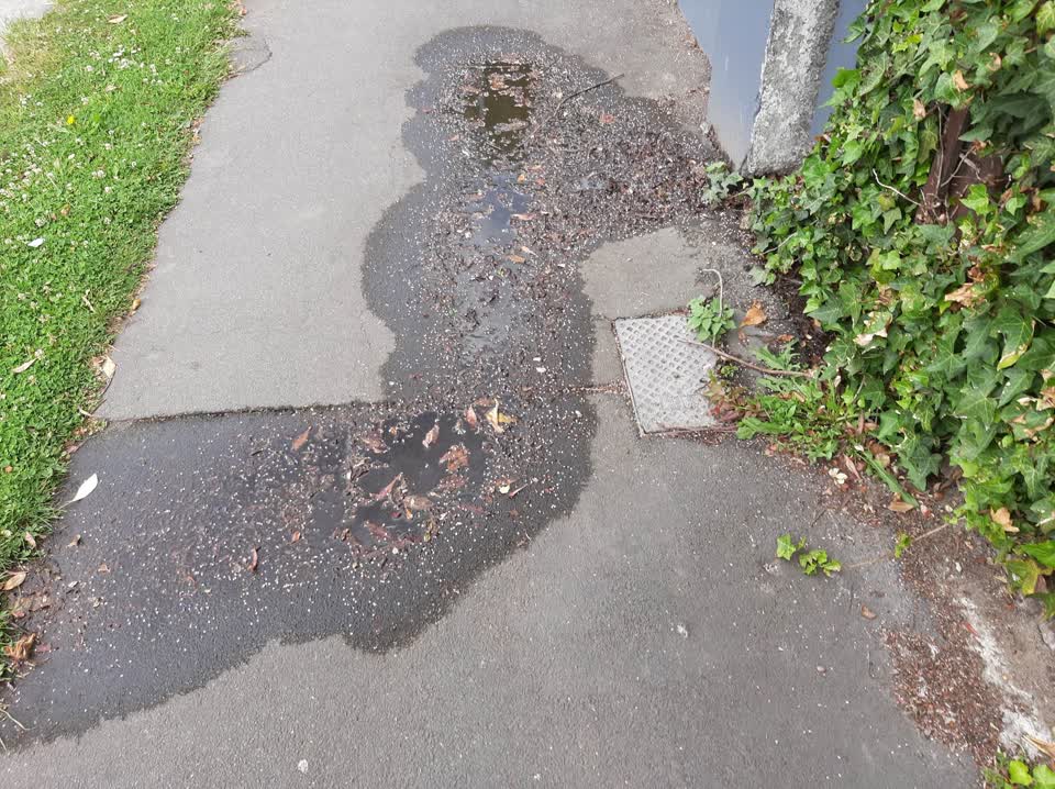 The photograph attached to this water leak report