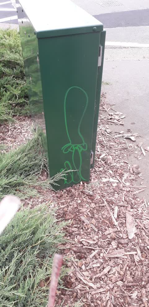 Graffiti — a report photo