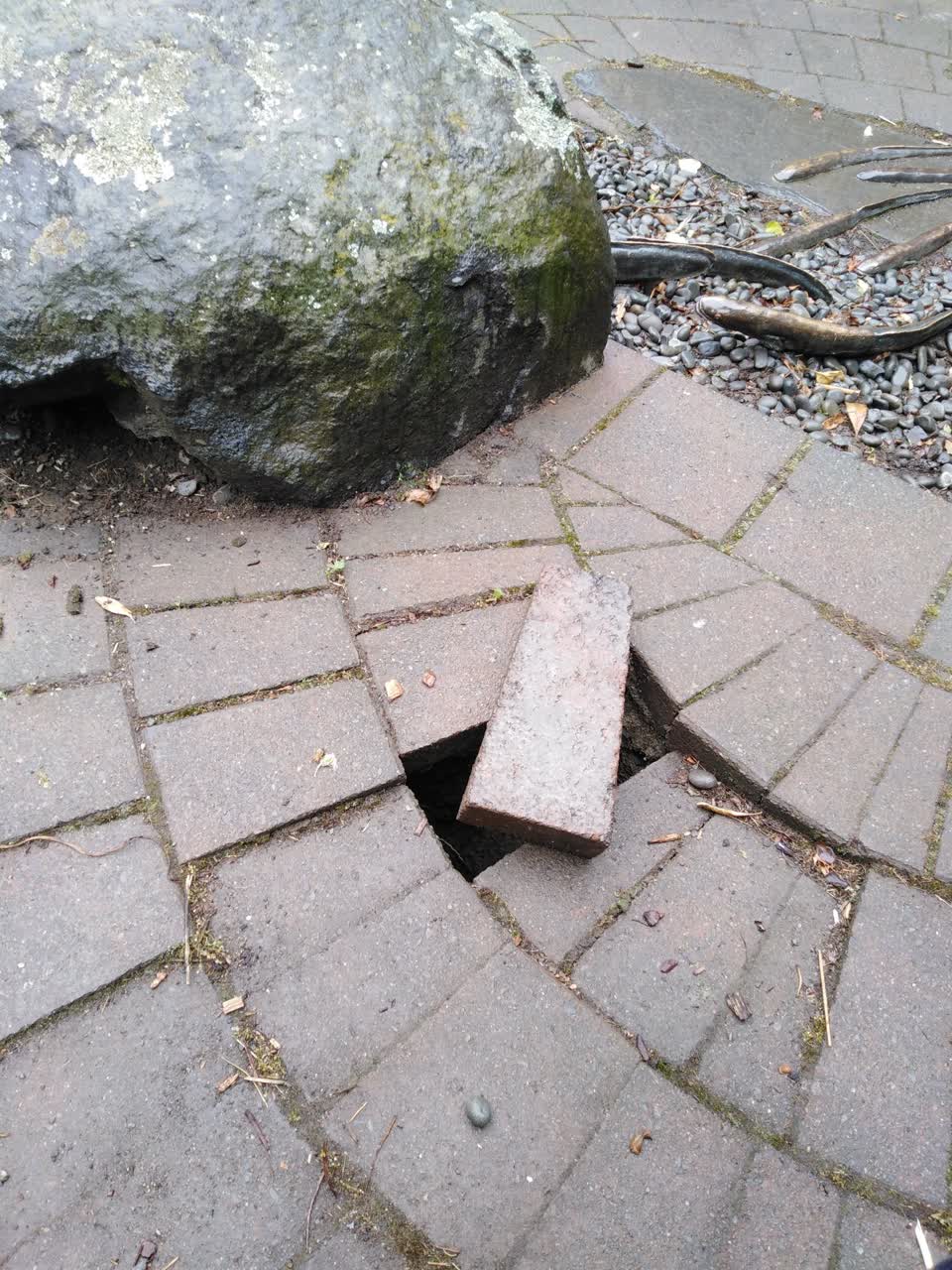 The photograph attached to this parks report