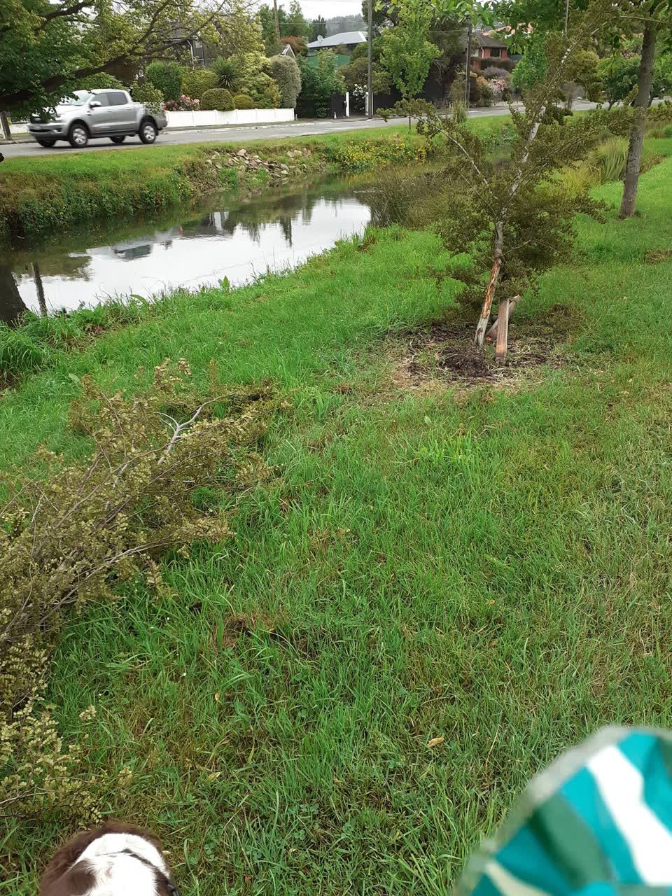 The photograph attached to this parks report