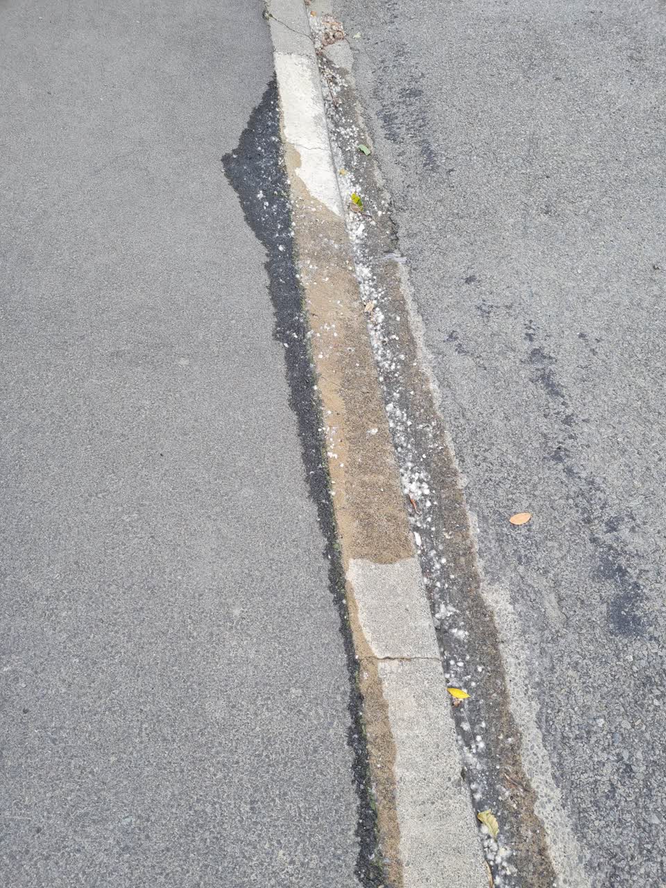 The photograph attached to this water leak report