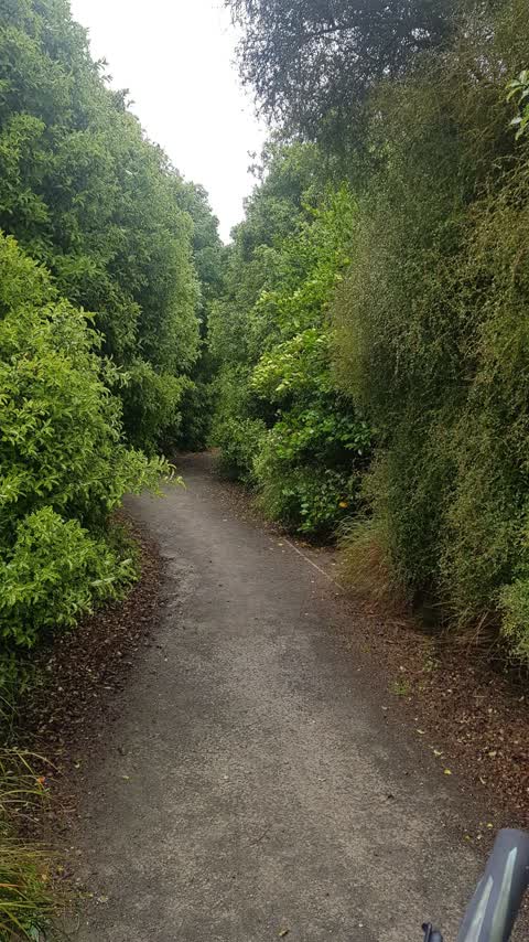 Parks, a report photo