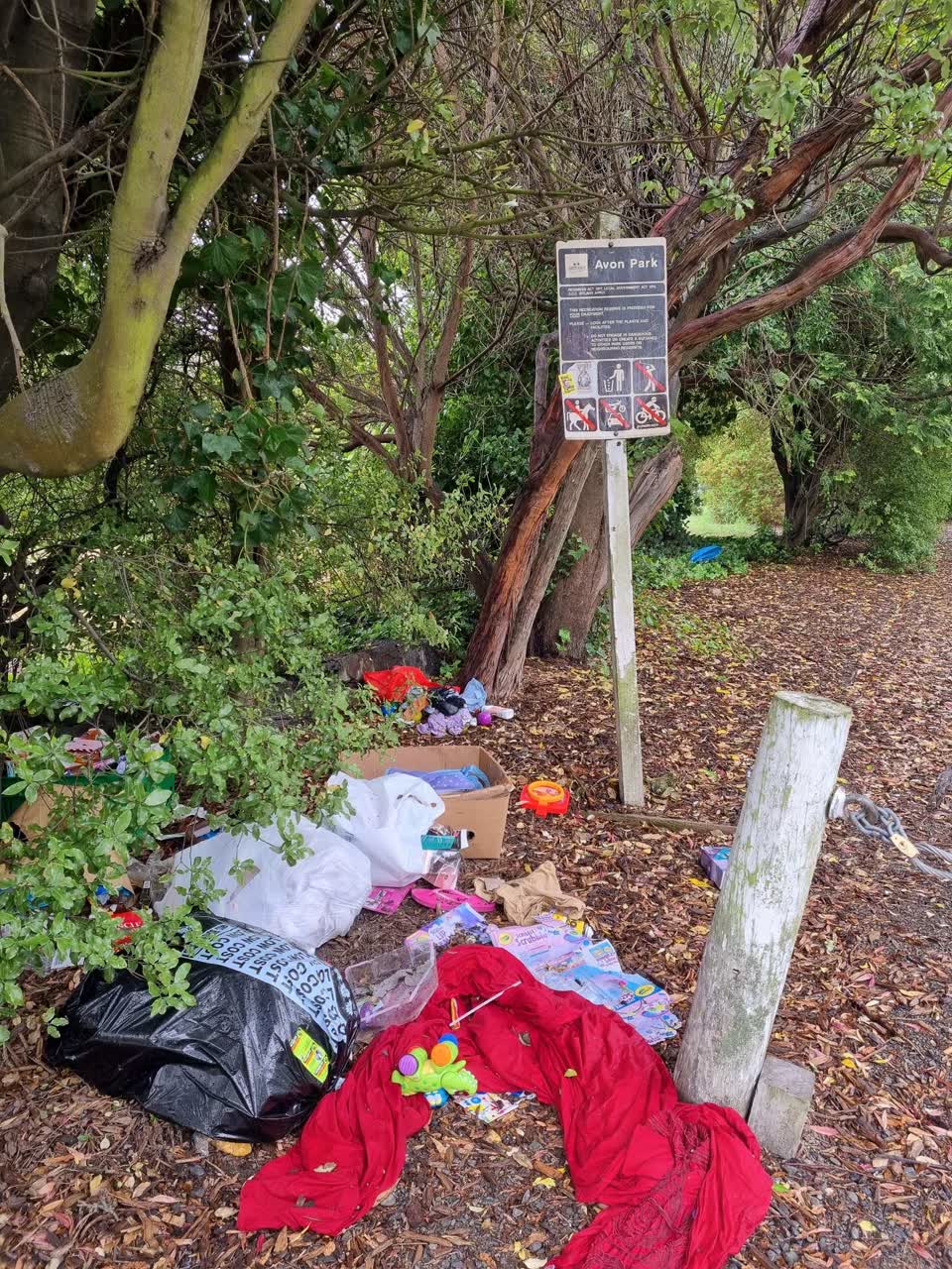 The photograph attached to this rubbish/recycling report