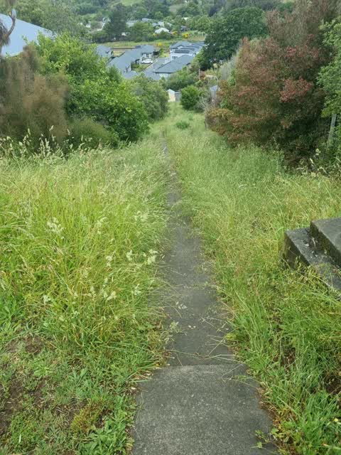 Roading/Streets, a report photo