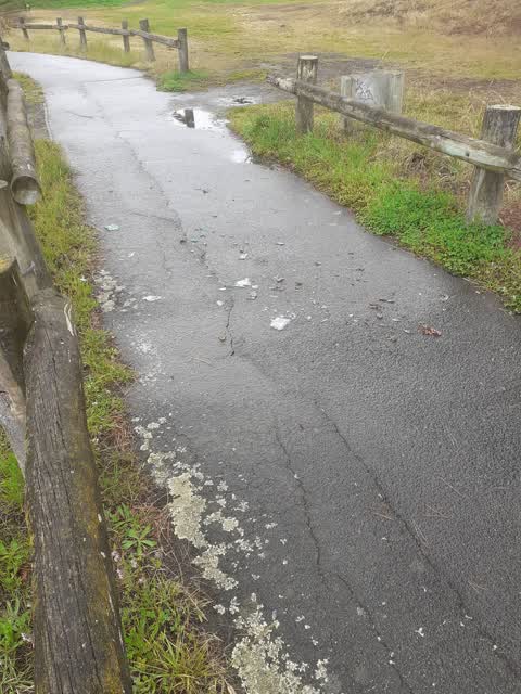 Rubbish/Recycling, a report photo