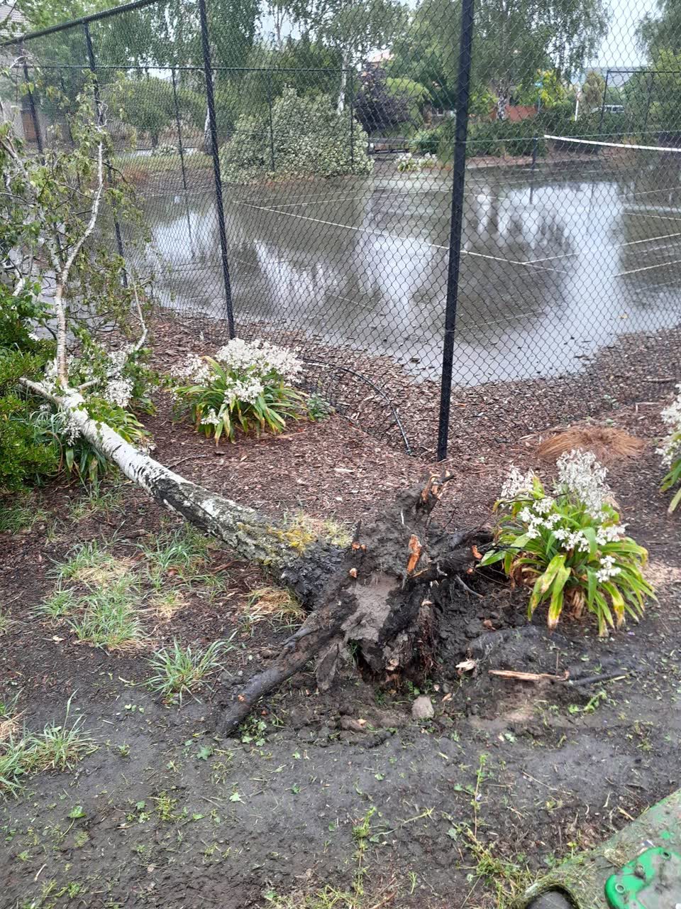 The photograph attached to this parks report