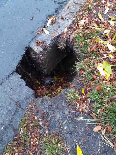 Roading/Streets, a report photo