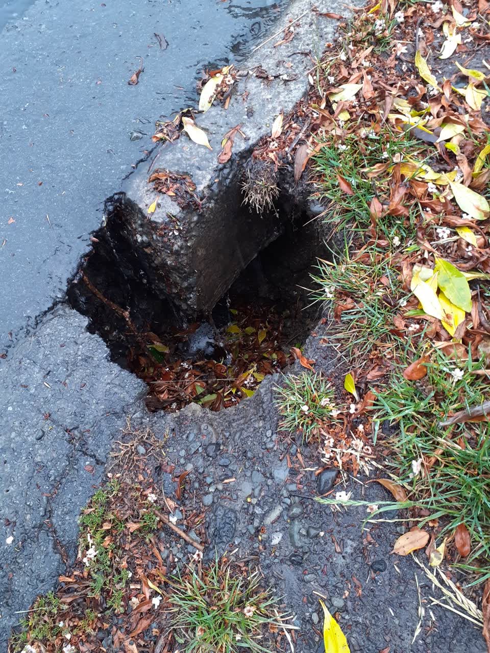 The photograph attached to this roading/streets report