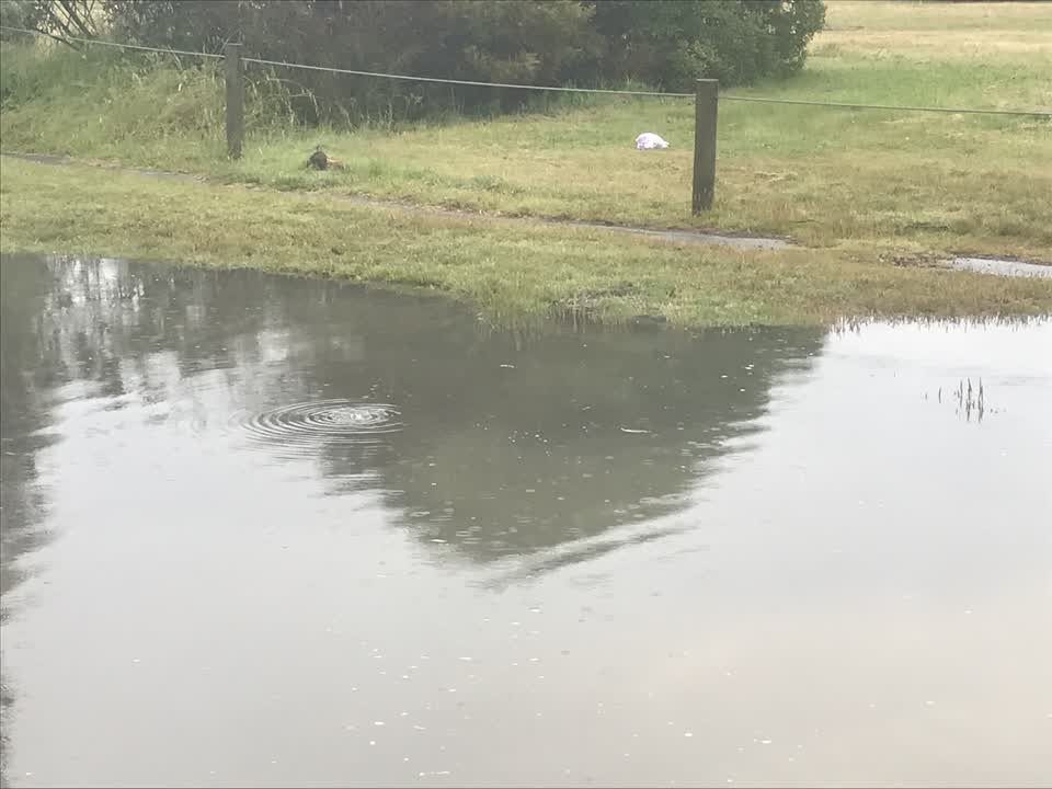 The photograph attached to this water leak report