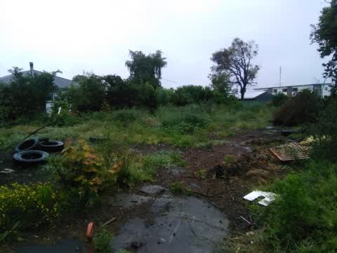 Roading/Streets, a report photo