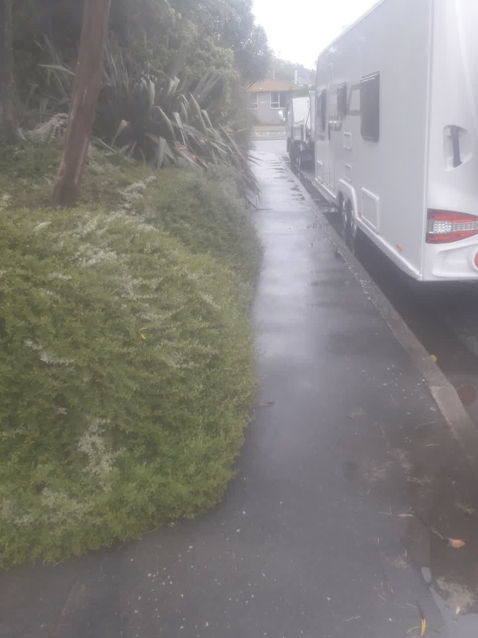 The photograph attached to this parks report