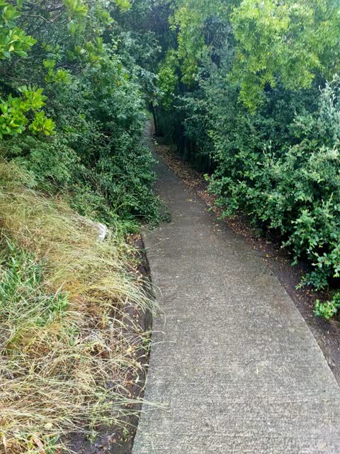 Parks, a report photo