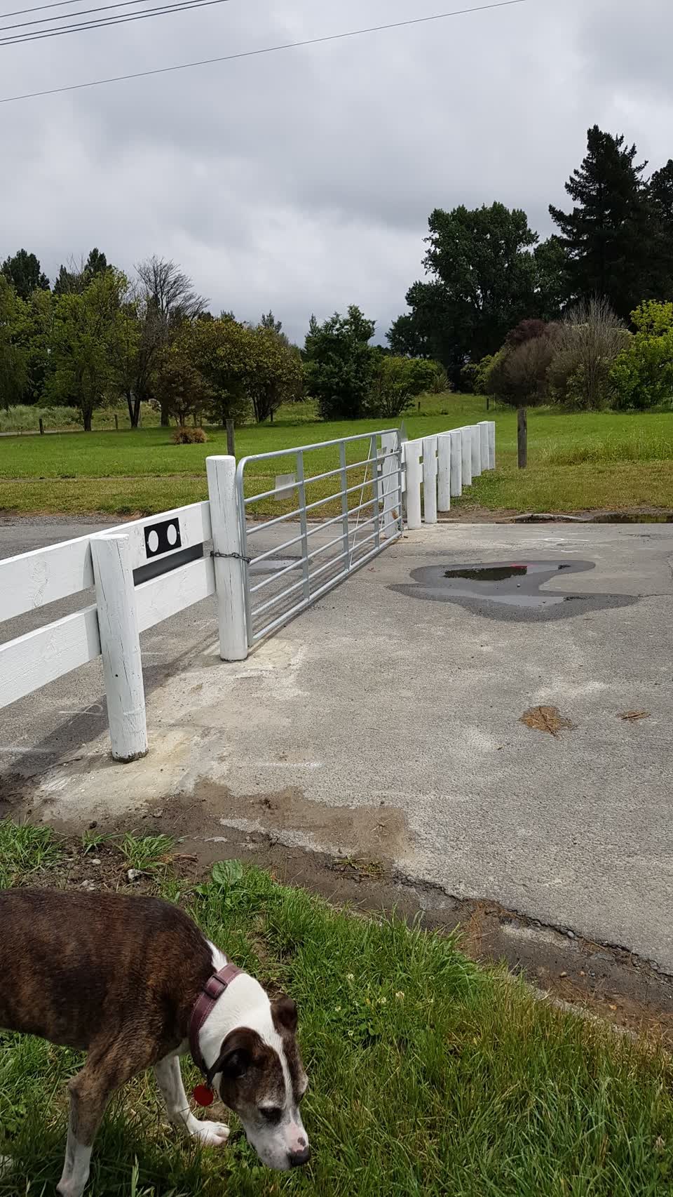 The photograph attached to this parks report
