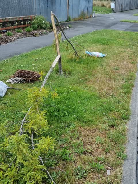 Roading/Streets, a report photo