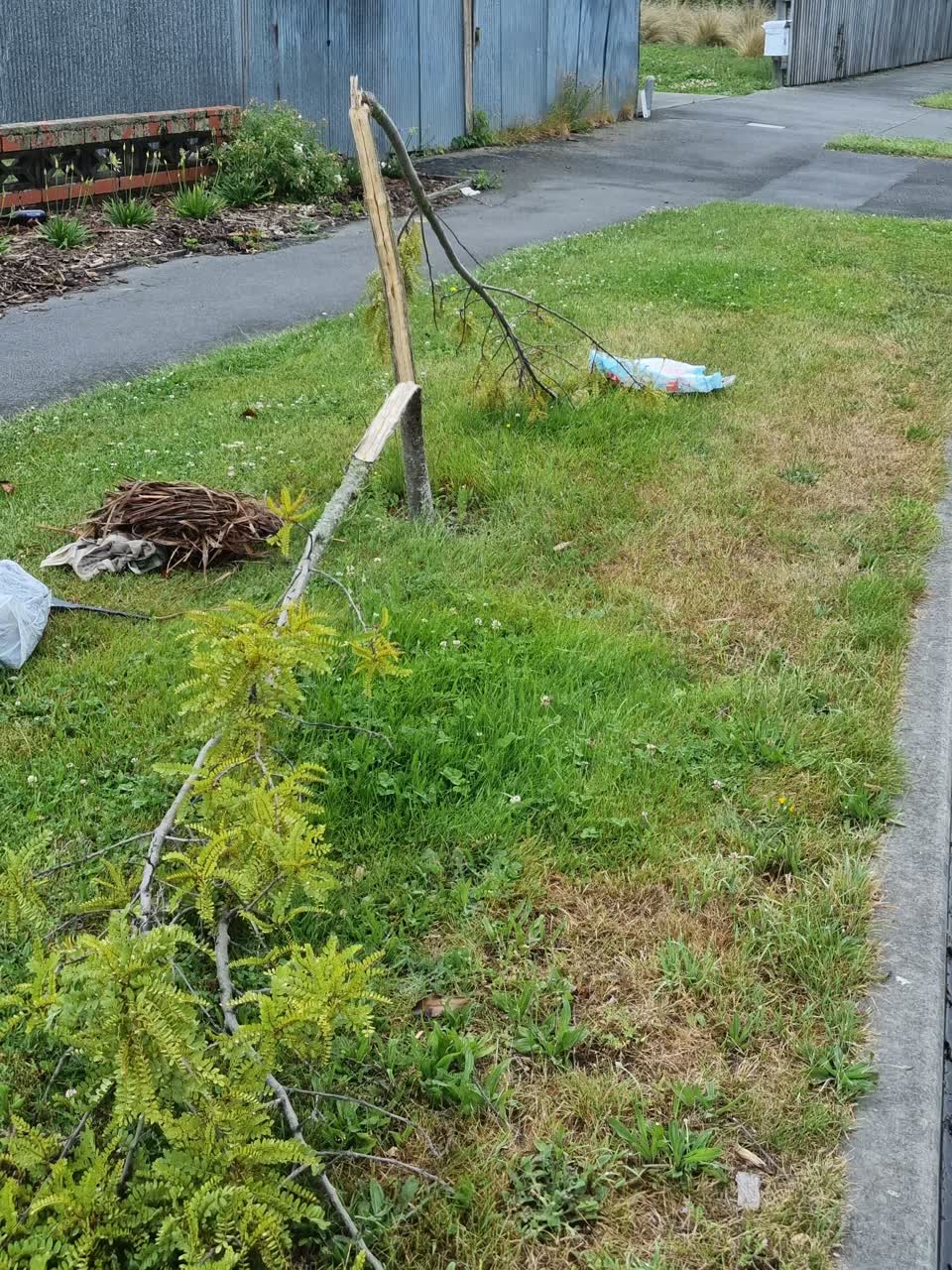 The photograph attached to this roading/streets report