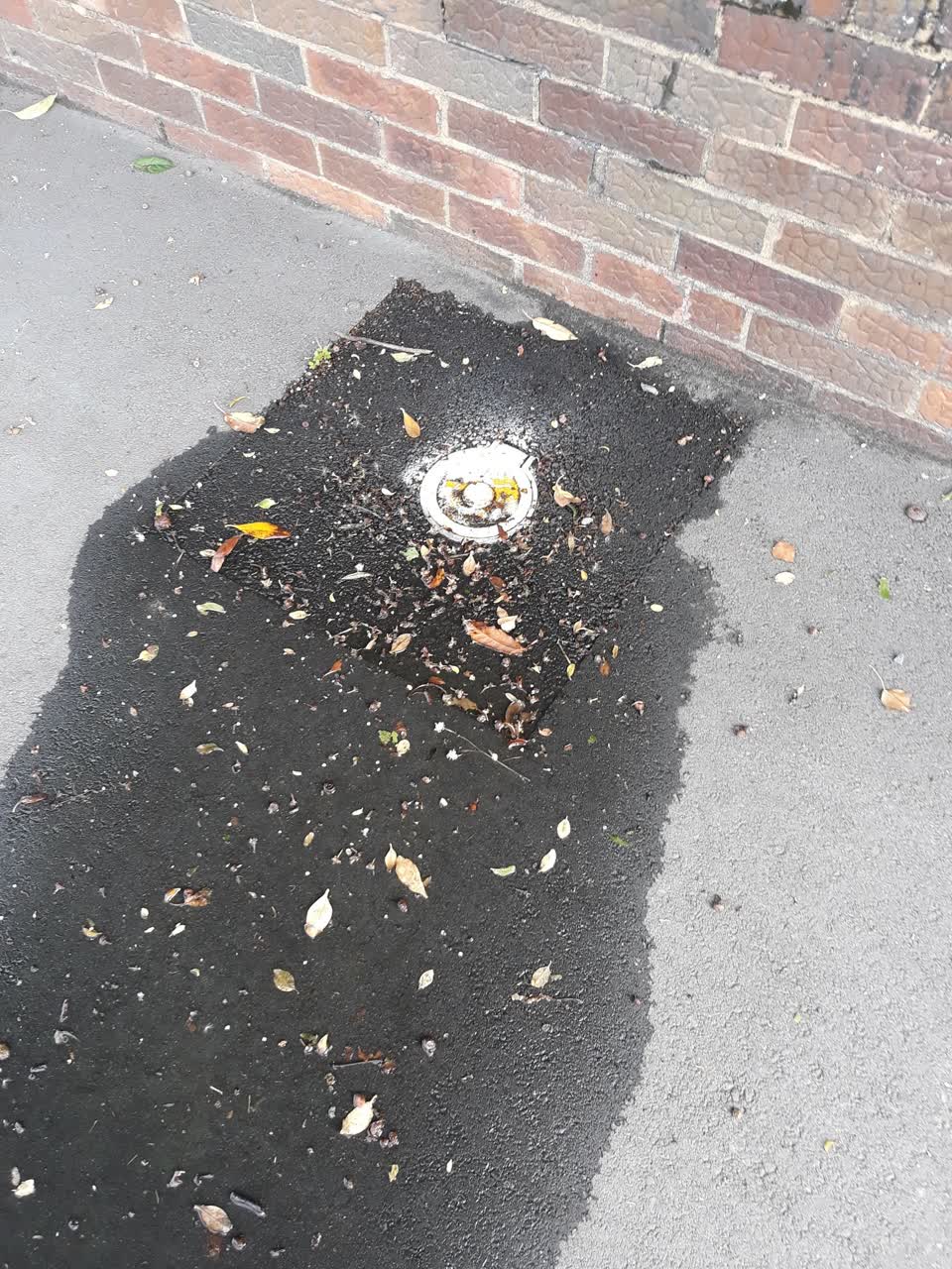 The photograph attached to this water supply report