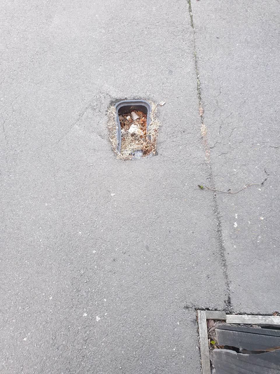 The photograph attached to this water supply report