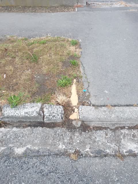Roading/Streets, a report photo